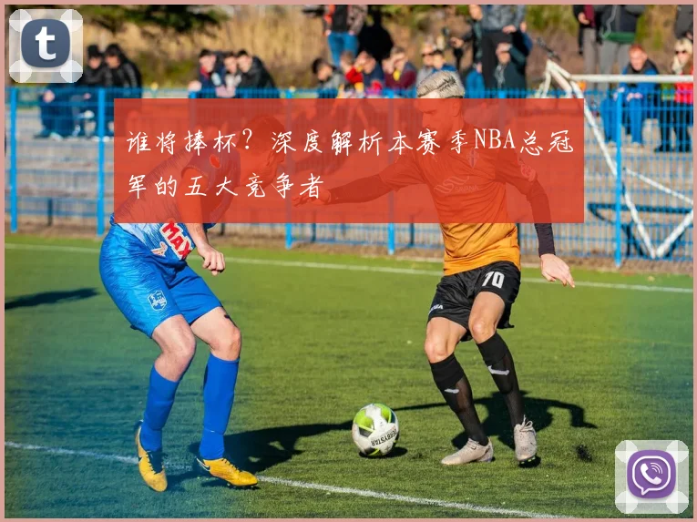 谁将捧杯？深度解析本赛季NBA总冠军的五大竞争者