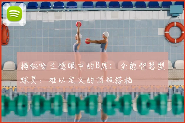 揭秘哈兰德眼中的B席：全能智慧型球员，难以定义的顶级搭档